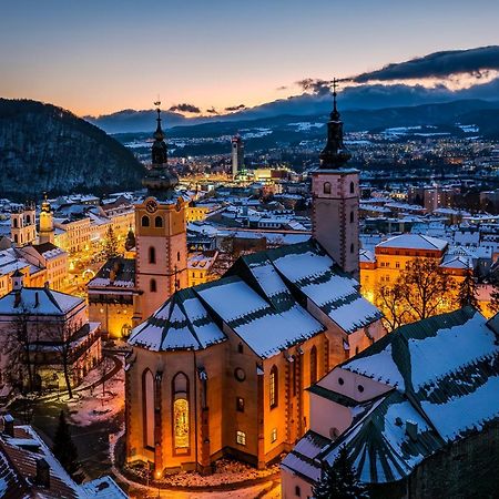 Komfortny Apartman So Zahradou A Sukromnym Parkoviskom-Nonstop Check-In Bańska Bystrzyca Zewnętrze zdjęcie